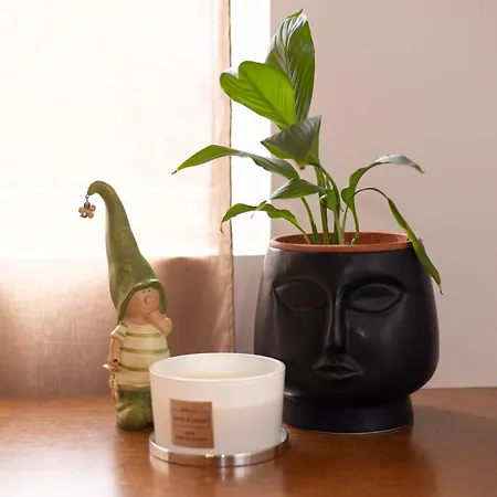 Shared Retro Vintage Luxury * Βουκουρέστι